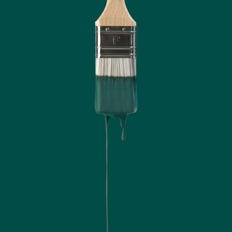 Wall paint sample