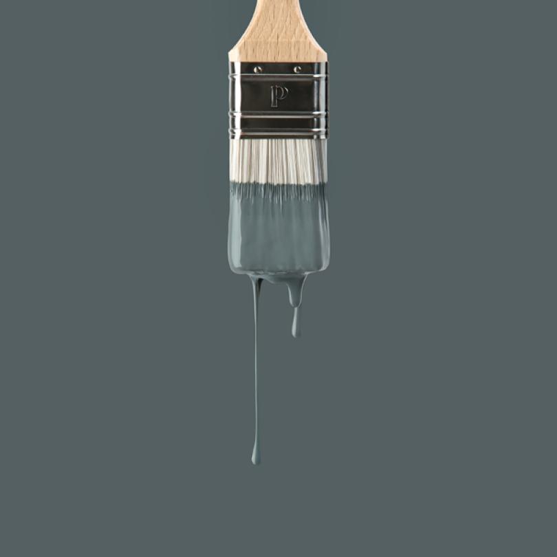 Wall paint sample