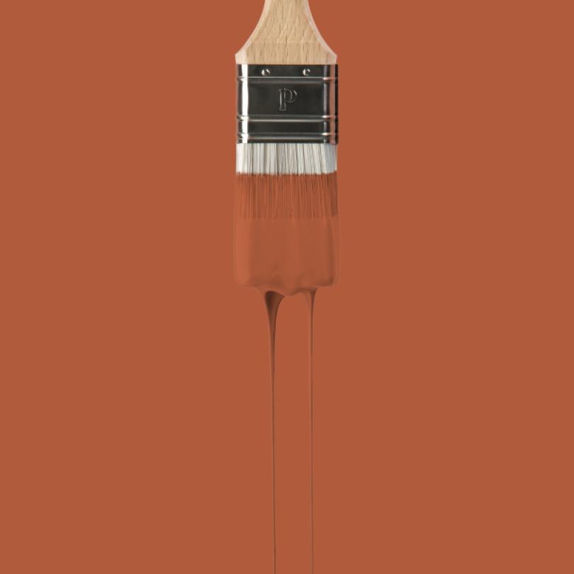 Wall paint sample