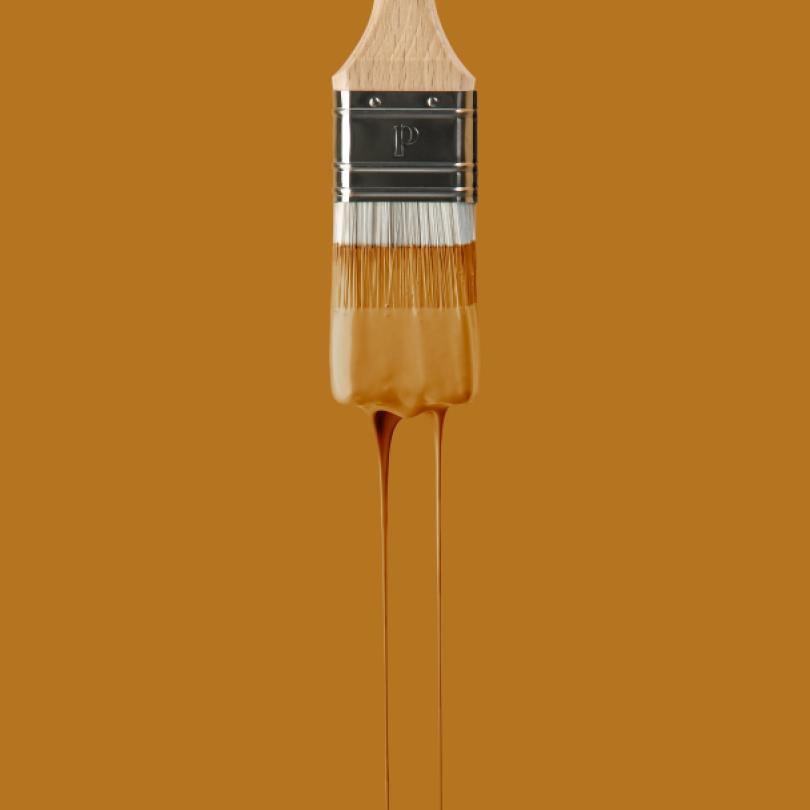 Wall paint sample