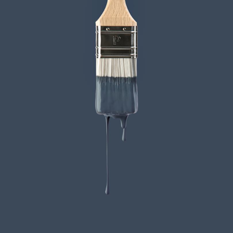 Wall paint sample