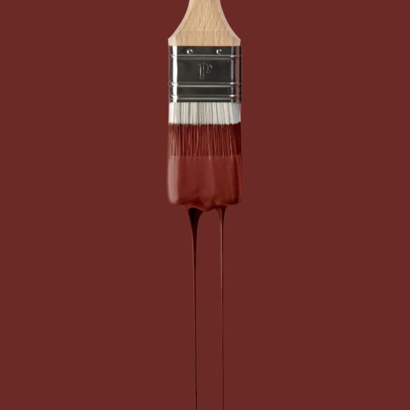 Wall paint sample