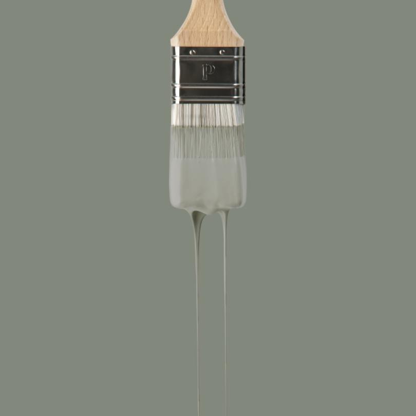 Wall paint sample