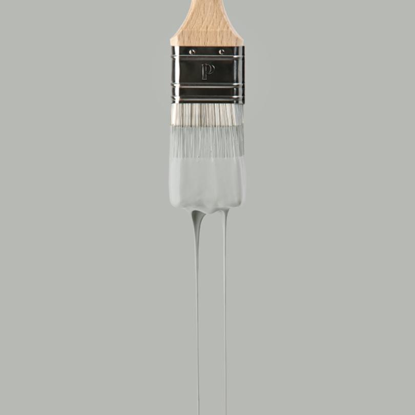 Wall paint sample