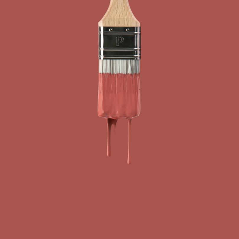 Wall paint sample