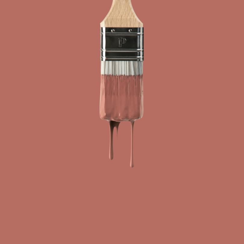 Wall paint sample