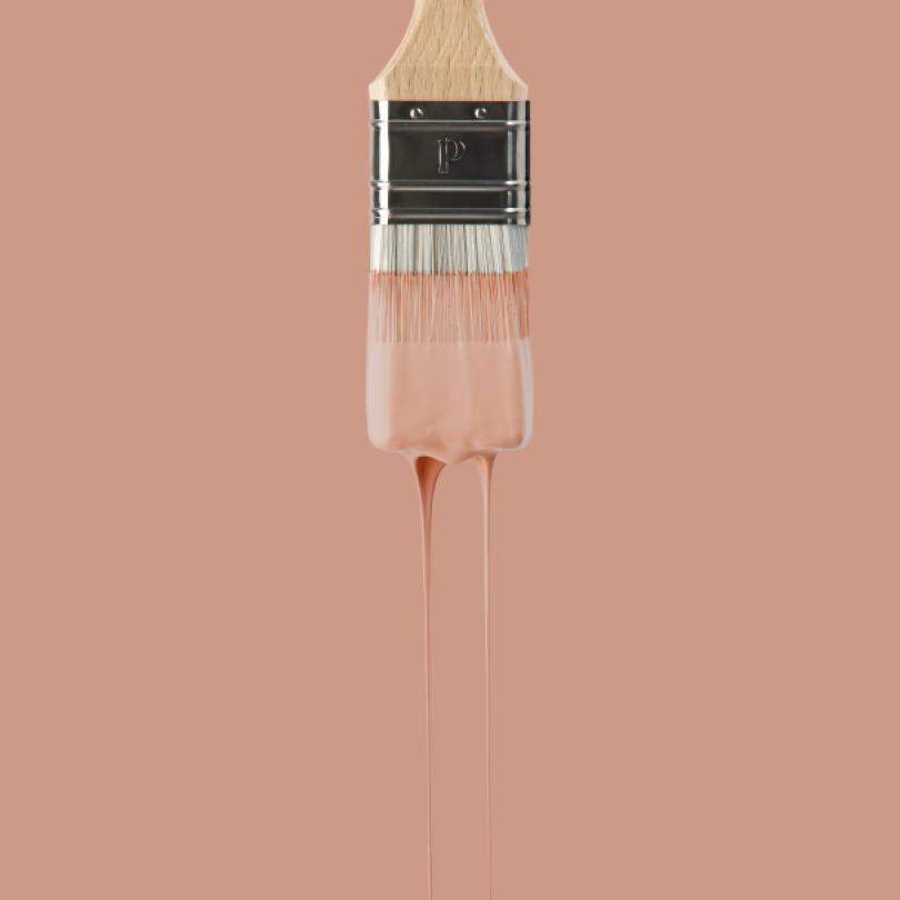 Wall paint sample
