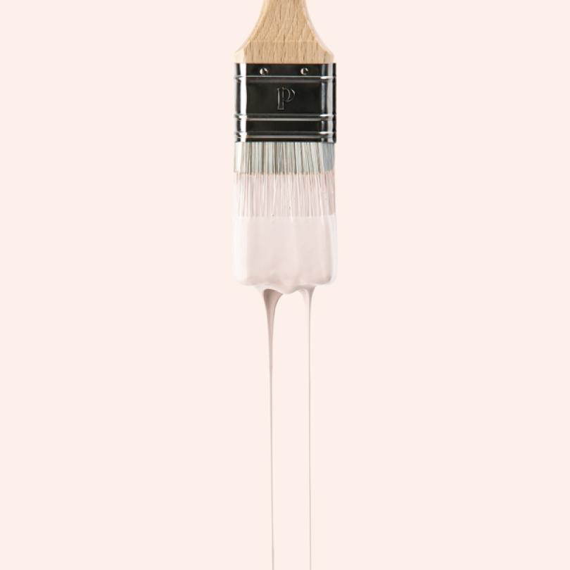 Wall paint sample