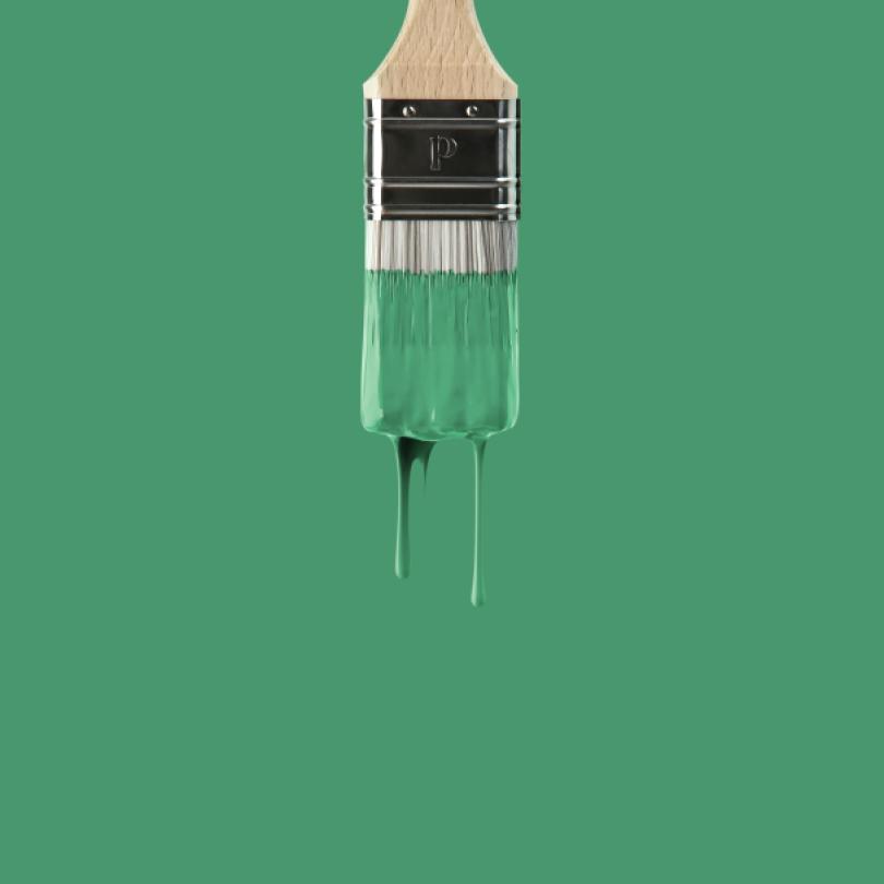 Wall paint sample