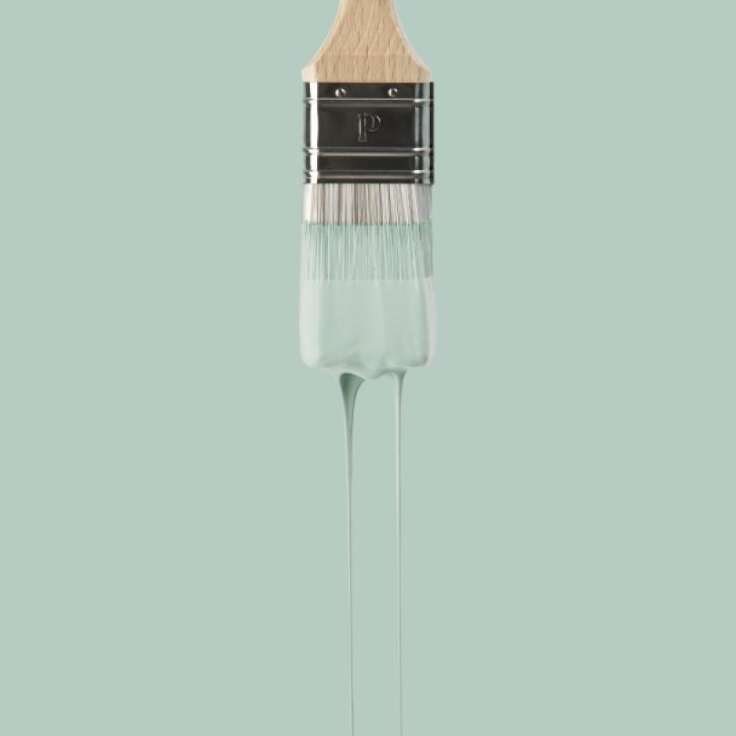 Wall paint sample