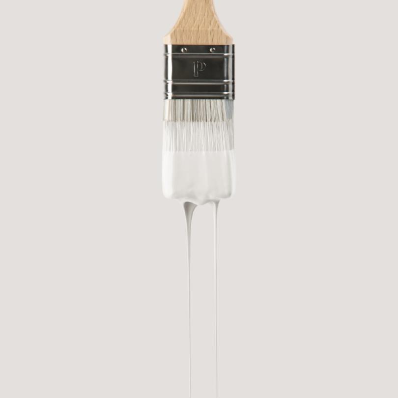 Wall paint sample