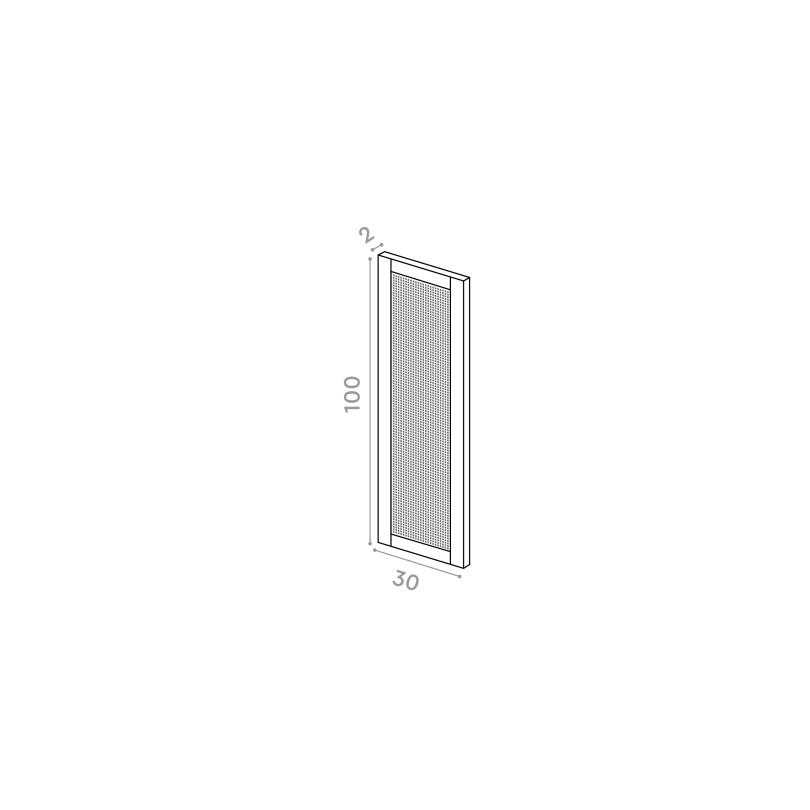 Door 30x100cm