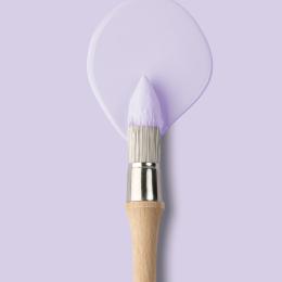 Wall paint | Beige 10 - Lilas